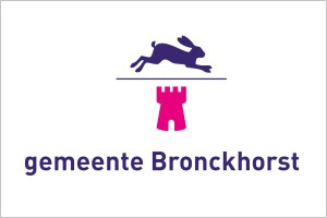 Vlag van de gemeente Bronckhorst