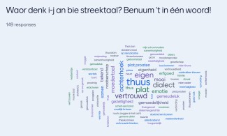 Afbeelding van een woordwolk 'Waar denk i-j an bie streektaal?'